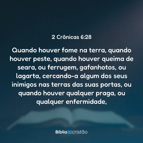 2 Crônicas 6:28