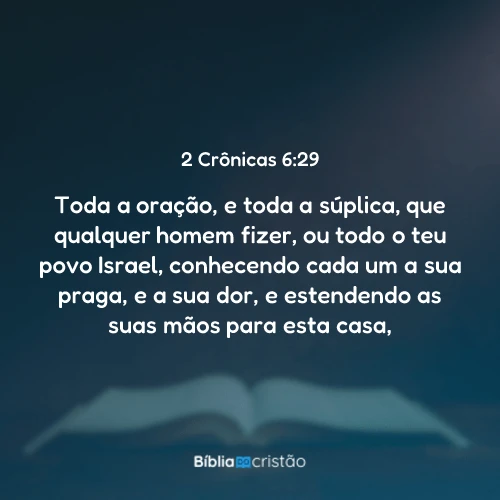 2 Crônicas 6:29