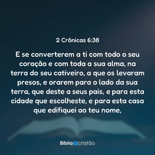 2 Crônicas 6:38