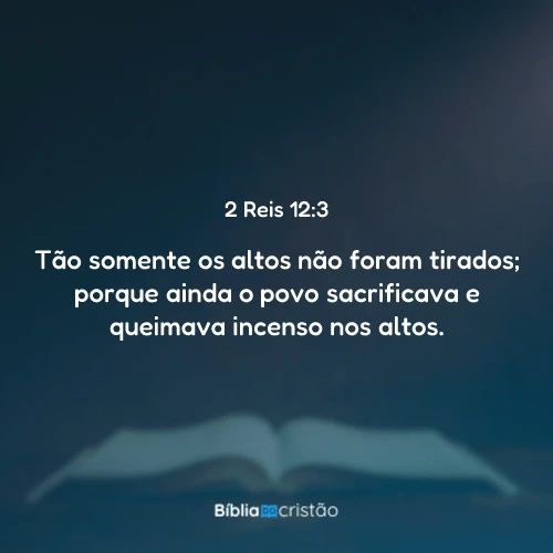 2 Reis 12:3
