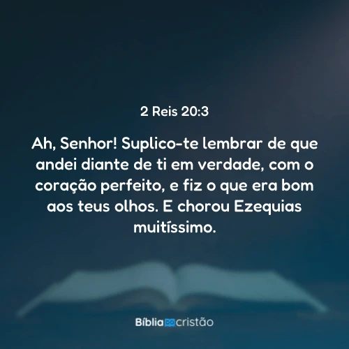 2 Reis 20:3