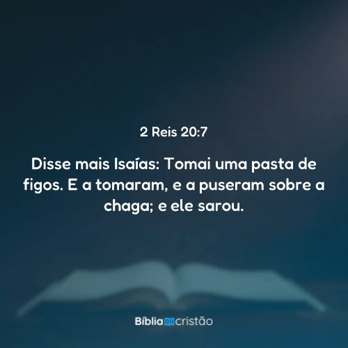 2 Reis 20:7