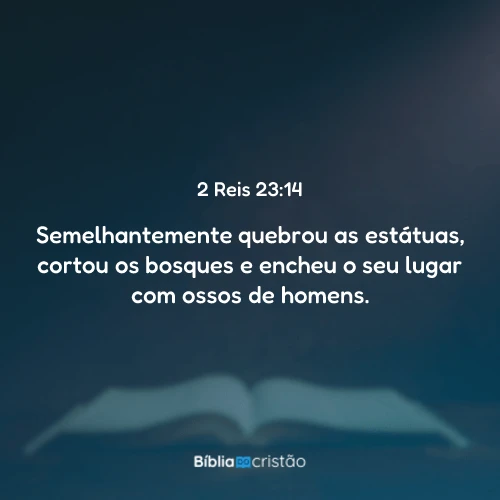 2 Reis 23:14