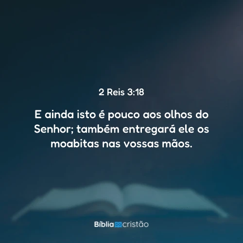 2 Reis 3:18