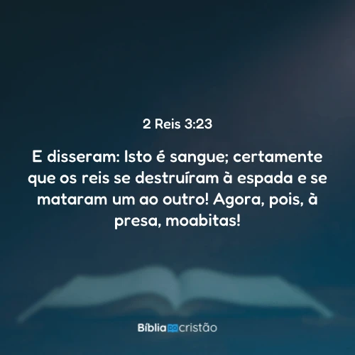 2 Reis 3:23
