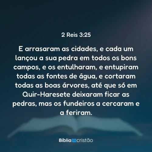 2 Reis 3:25