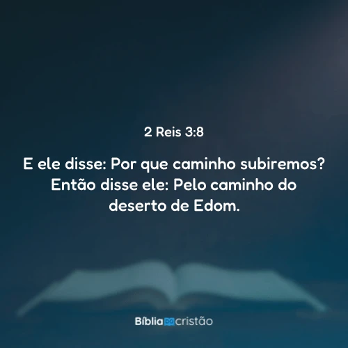 2 Reis 3:8