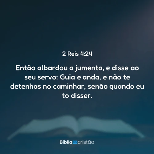 2 Reis 4:24