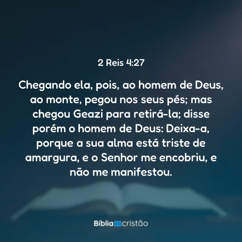 2 Reis 4:27