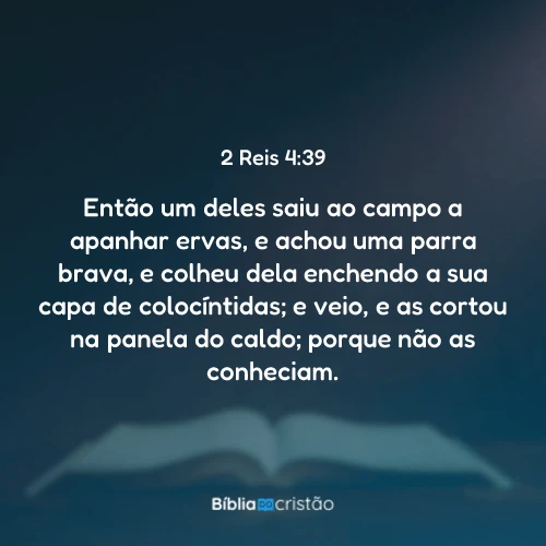 2 Reis 4:39