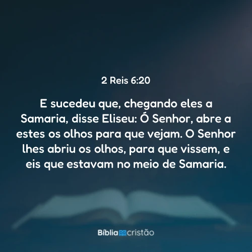 2 Reis 6:20