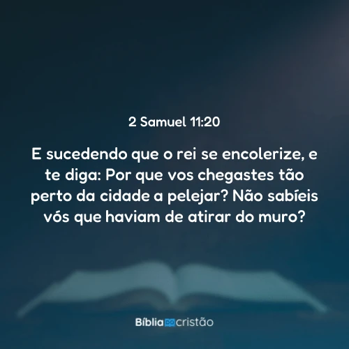2 Samuel 11:20