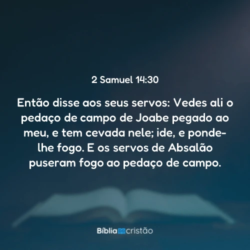 2 Samuel 14:30
