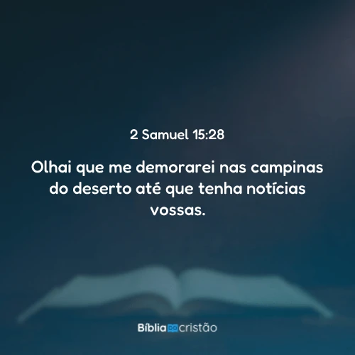 2 Samuel 15:28