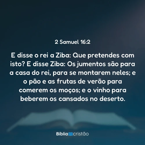 2 Samuel 16:2