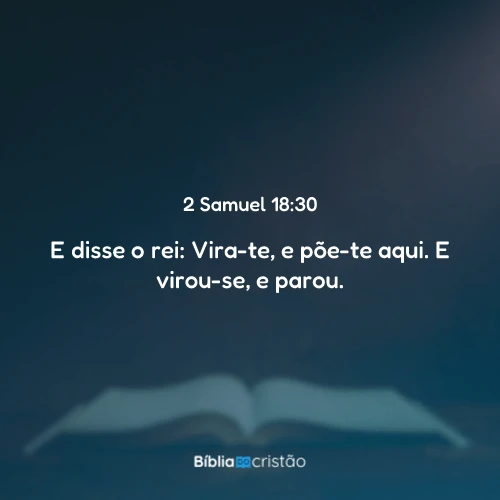 2 Samuel 18:30