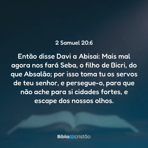 2 Samuel 20:6