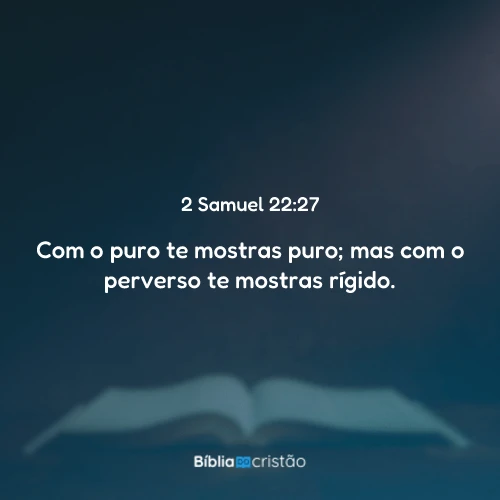 2 Samuel 22:27