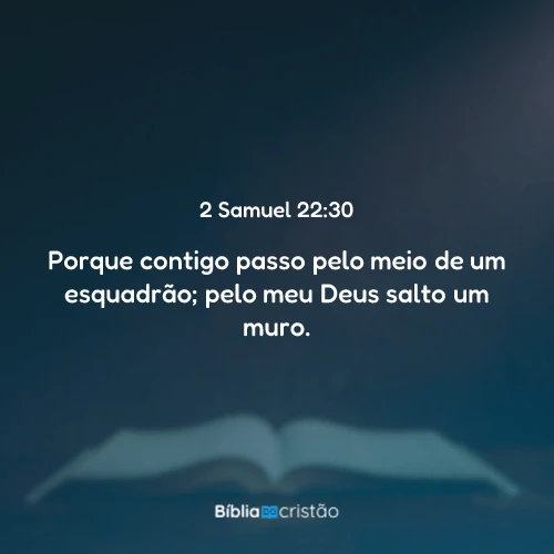 2 Samuel 22:30