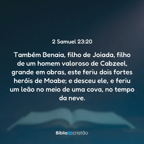2 Samuel 23:20