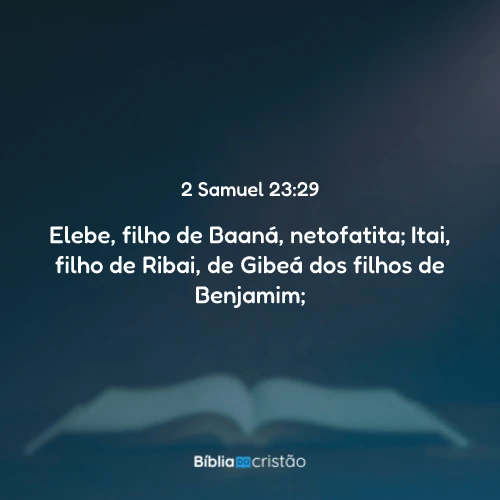 2 Samuel 23:29