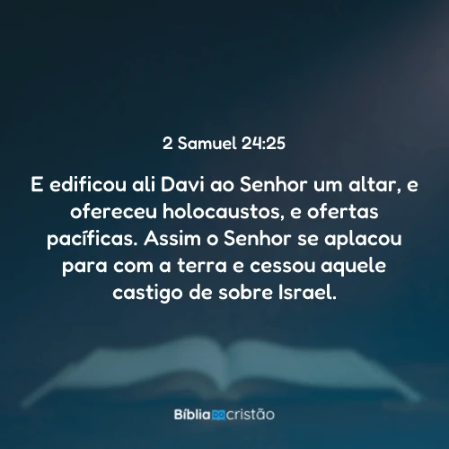 2 Samuel 24:25