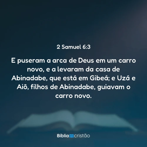 2 Samuel 6:3
