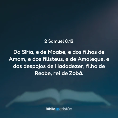 2 Samuel 8:12
