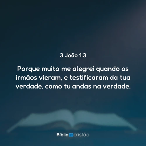 3 João 1:3