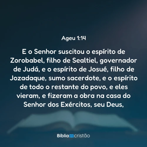 Ageu 1:14