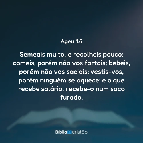 Ageu 1:6