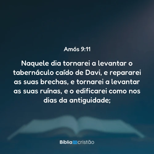 Amós 9:11