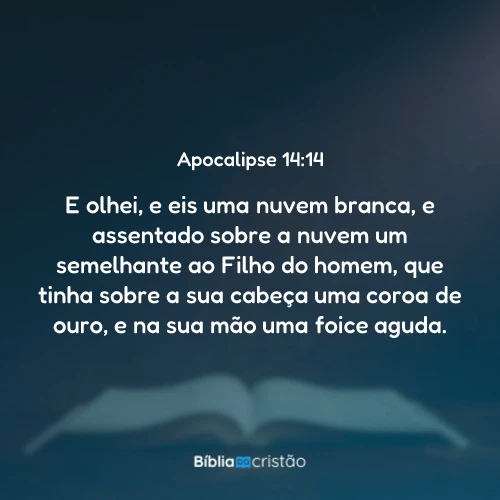 Apocalipse 14:14