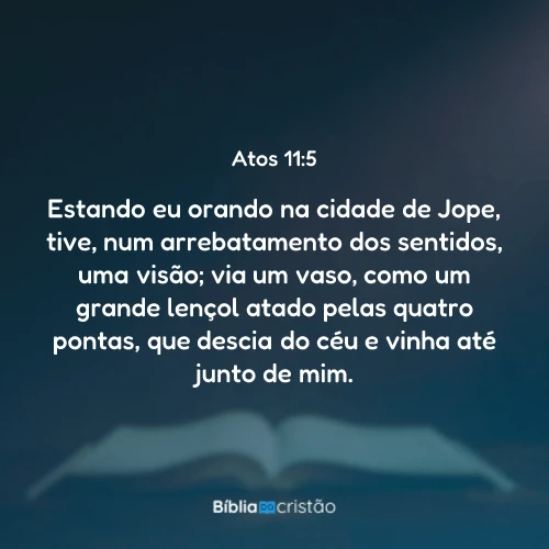 Atos 11:5