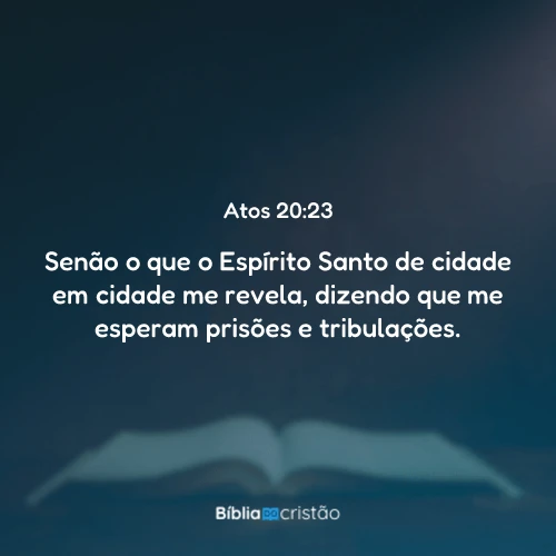 Atos 20:23