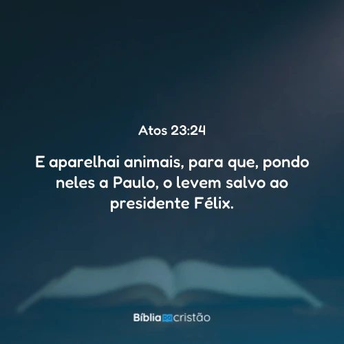 Atos 23:24