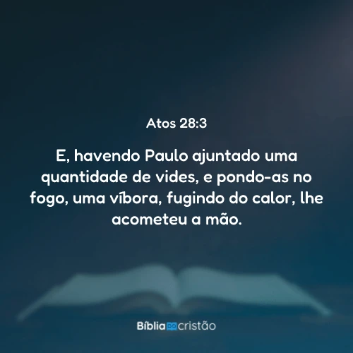 Atos 28:3