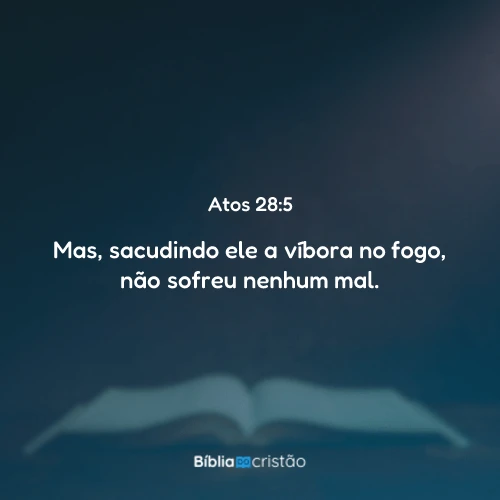 Atos 28:5