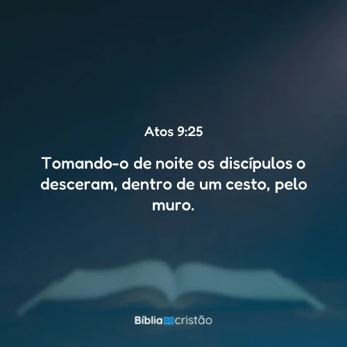 Atos 9:25