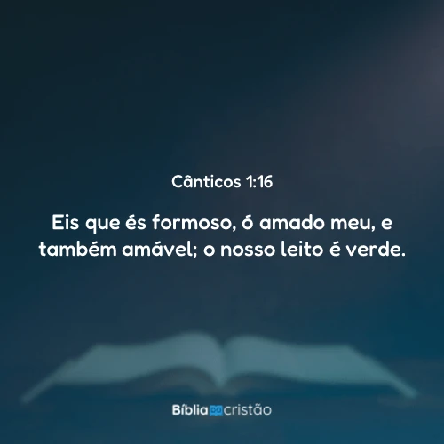 Cânticos 1:16