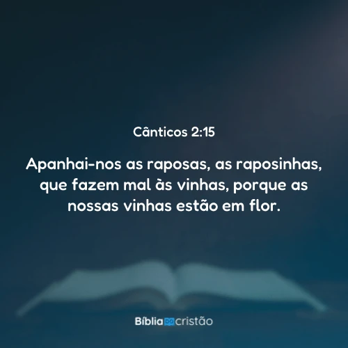 Cânticos 2:15