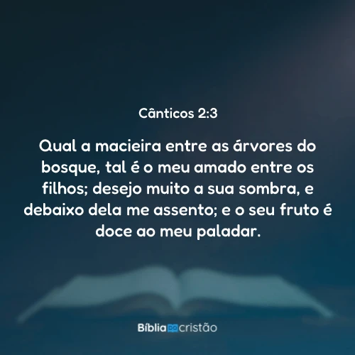 Cânticos 2:3