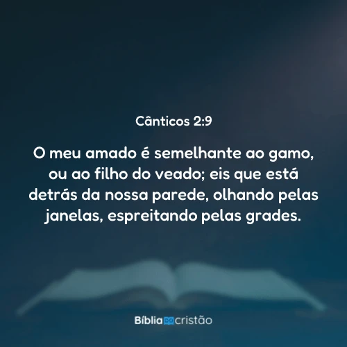 Cânticos 2:9