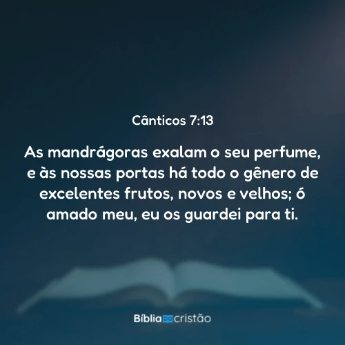 Cânticos 7:13