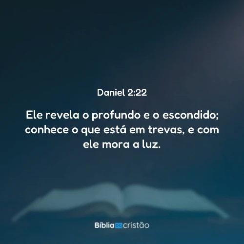 Daniel 2:22