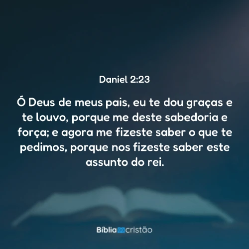 Daniel 2:23