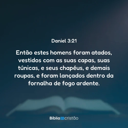 Daniel 3:21
