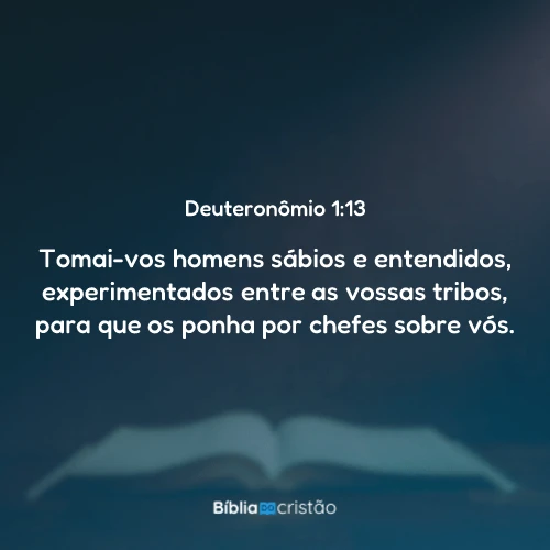 Deuteronômio 1:13