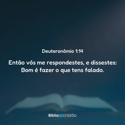 Deuteronômio 1:14