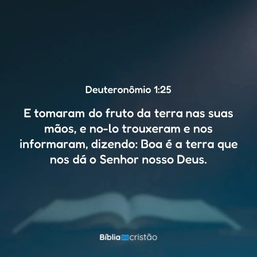 Deuteronômio 1:25